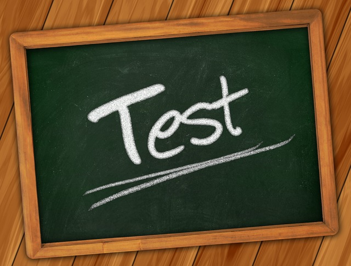   Professional Software Tester function 